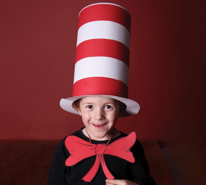 Cat and the hat diy costume