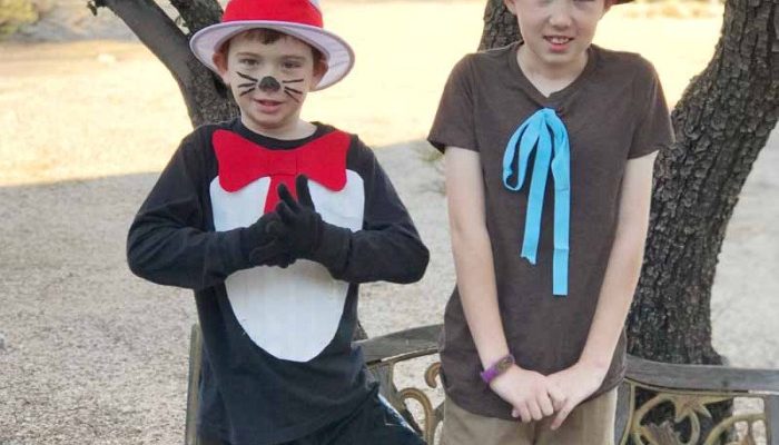 Cat and the hat diy costume