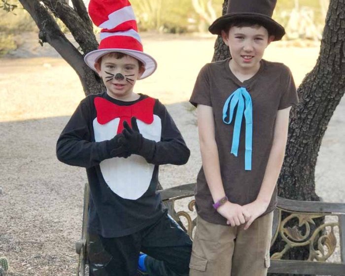 Cat and the hat diy costume