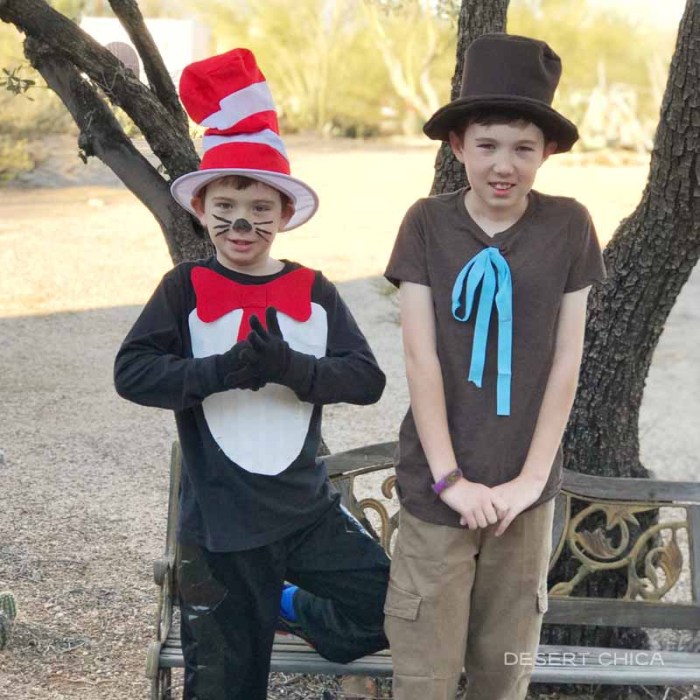 Cat and the hat diy costume