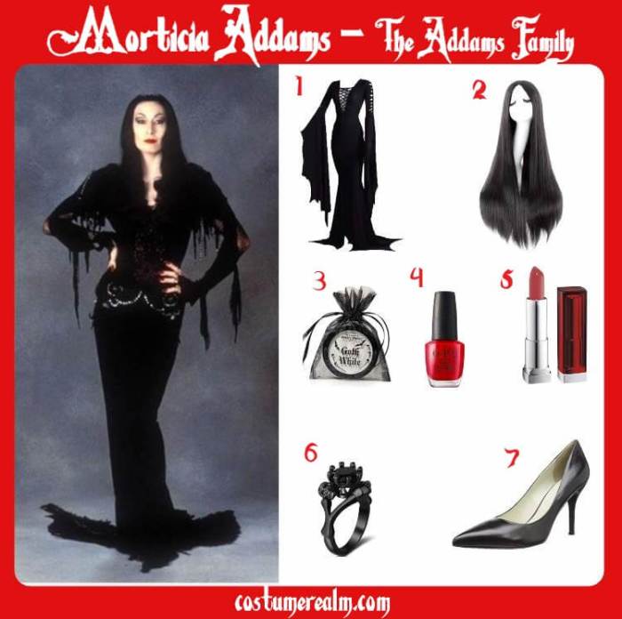 Morticia addams diy costume