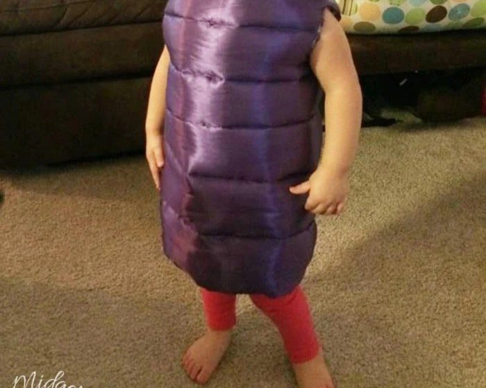 Diy boo monsters inc costume