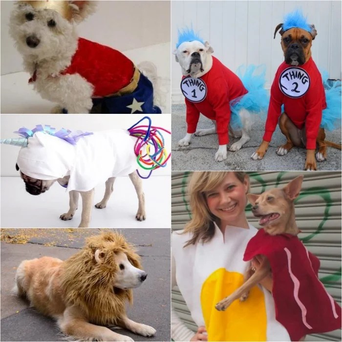 Costumes for dogs diy