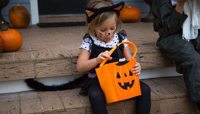 Diy pete the cat costume