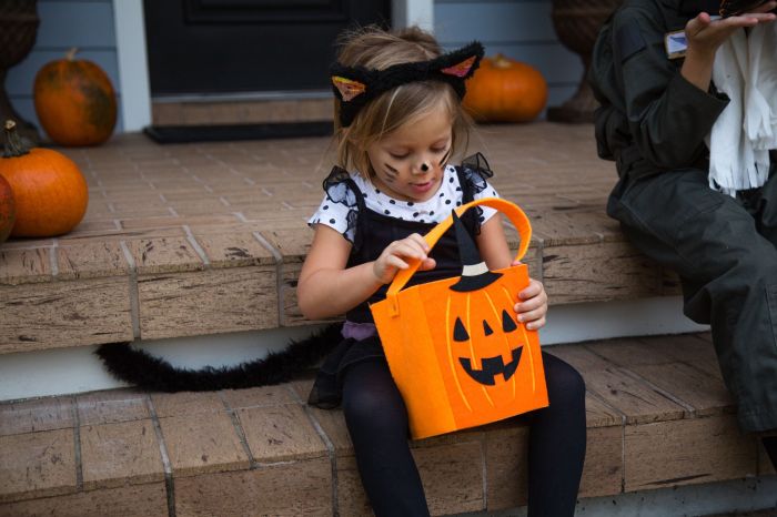 Diy pete the cat costume